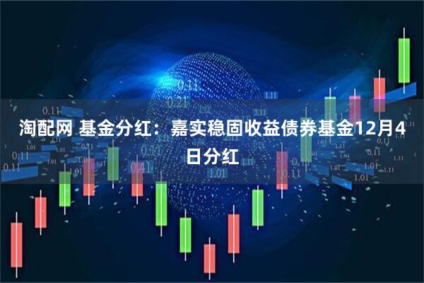 淘配网 基金分红:嘉实稳固收益债券基金12月4日分红